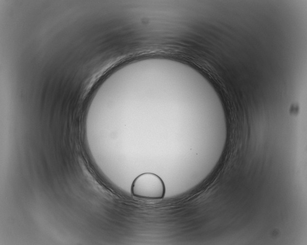 X0000116000444200911191217