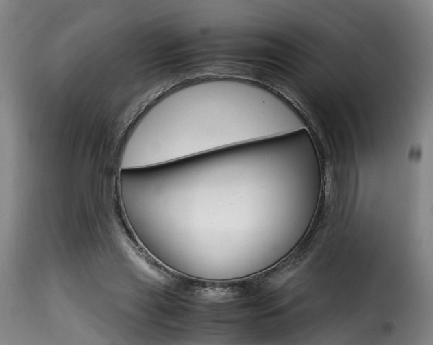 X0000116000445200911191217