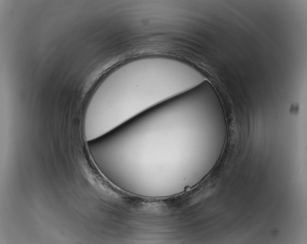 X0000116000446200911191217