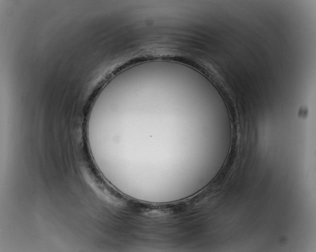 X0000116000447200911191217