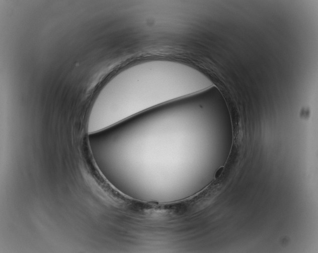 X0000116000448200911191217