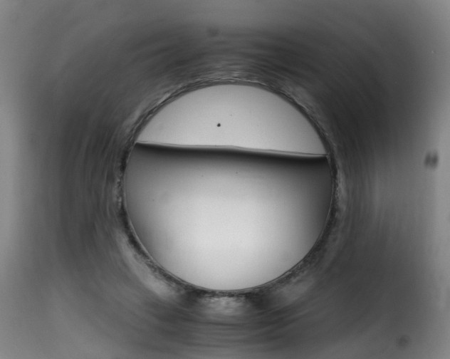 X0000116000449200911191217