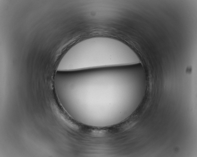 X0000116000450200911191218