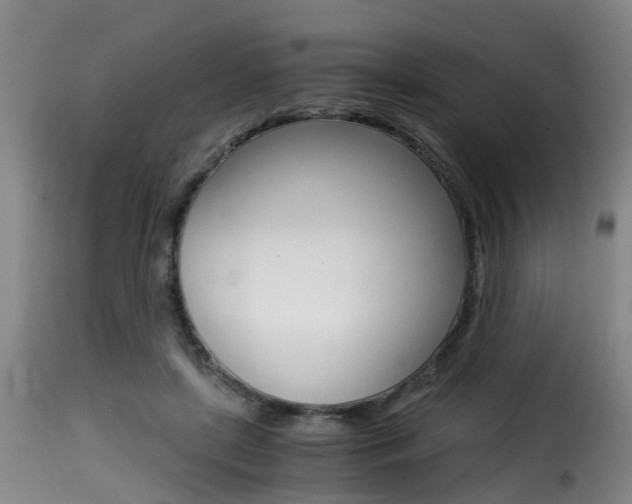 X0000116000451200911191218