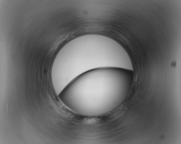 X0000116000452200911191218