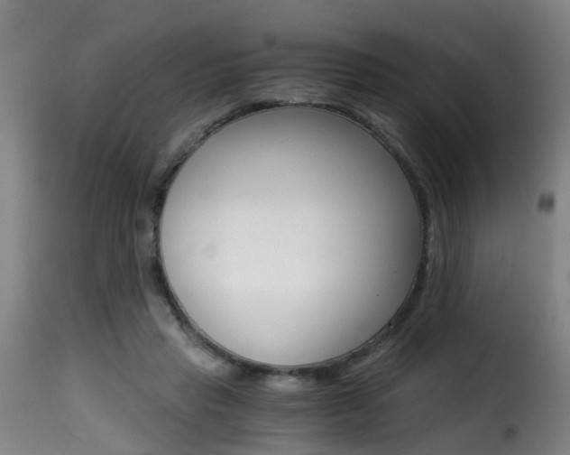 X0000116000453200911191218