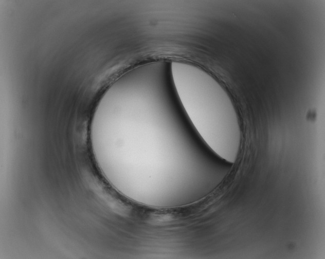 X0000116000454200911191218