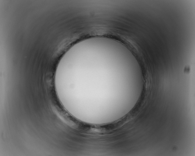 X0000116000455200911191218