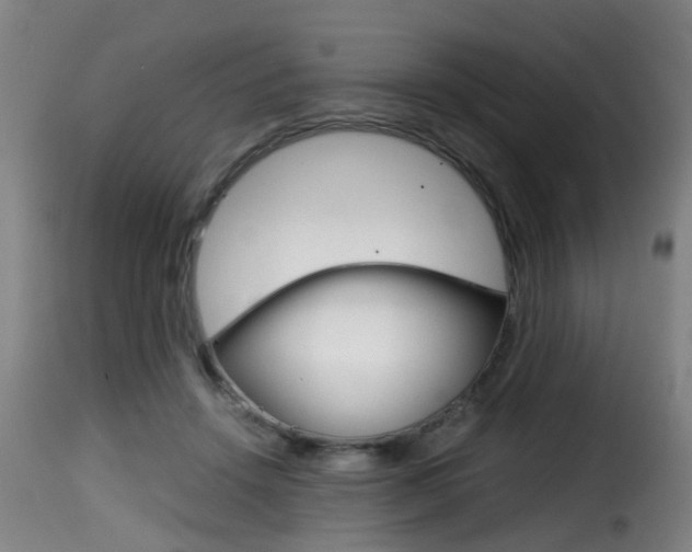 X0000116000456200911191218