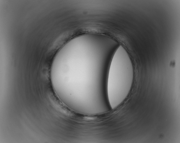 X0000116000457200911191218