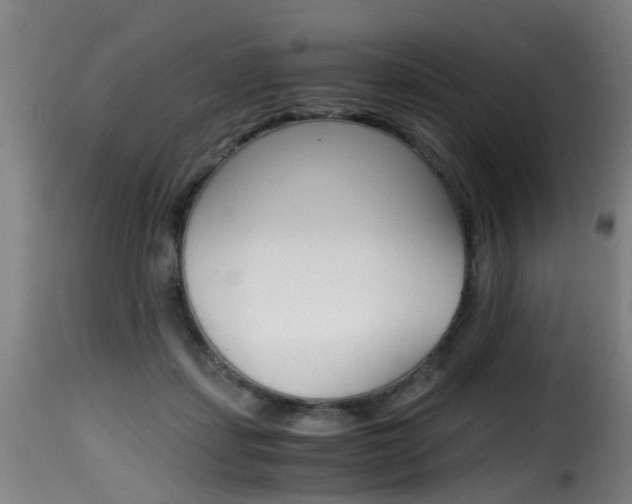 X0000116000459200911191218