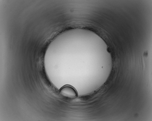 X0000116000460200911191218