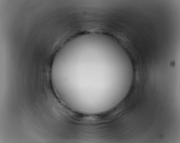 X0000116000461200911191218