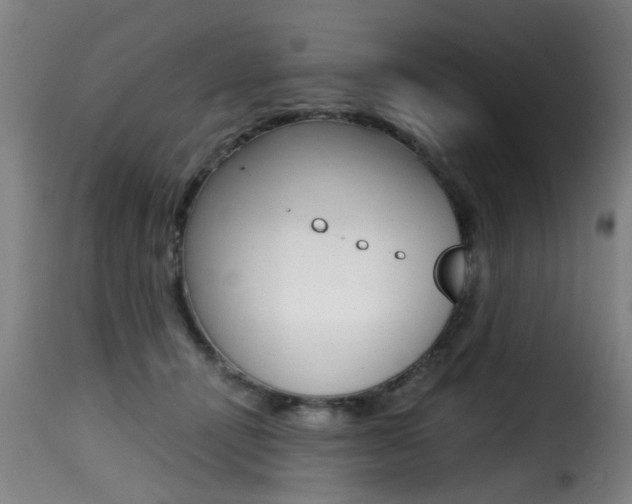 X0000116000464200911191218