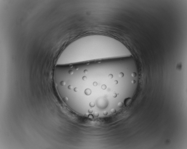 X0000116000466200911191218