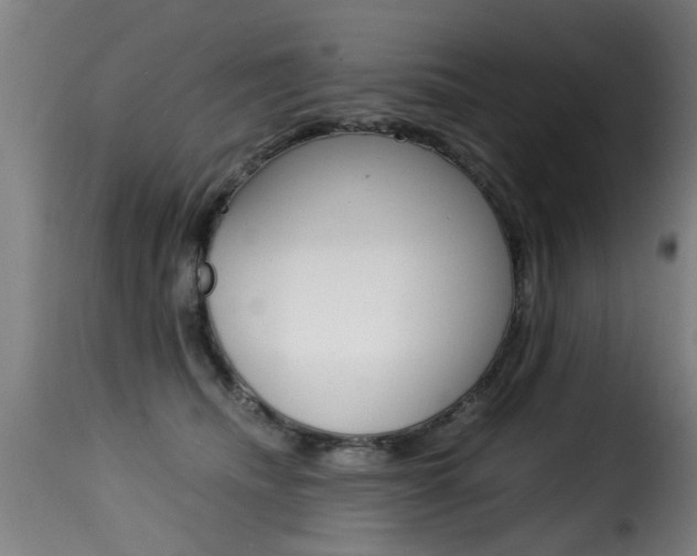 X0000116000468200911191218