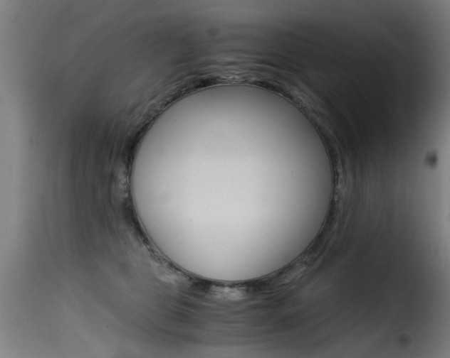 X0000116000469200911191218