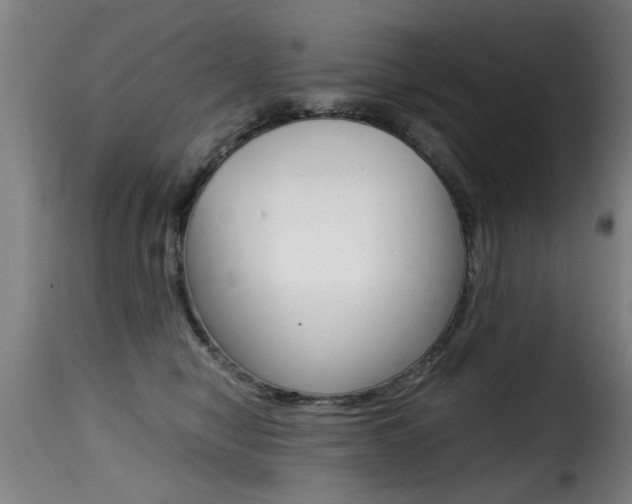 X0000116000470200911191218