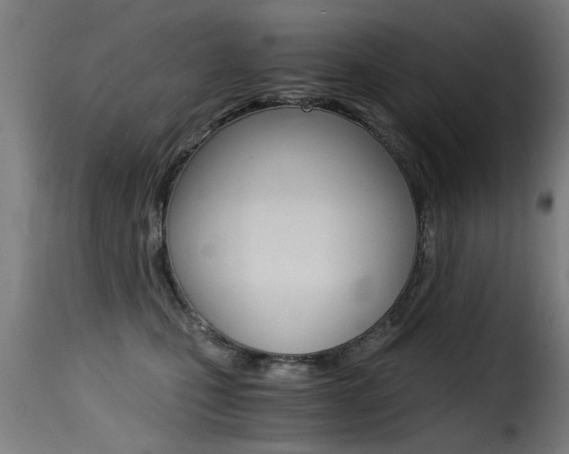 X0000116000471200911191218