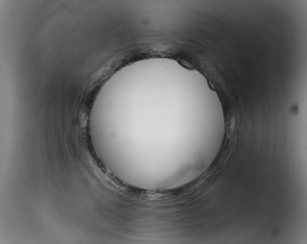 X0000116000472200911191218