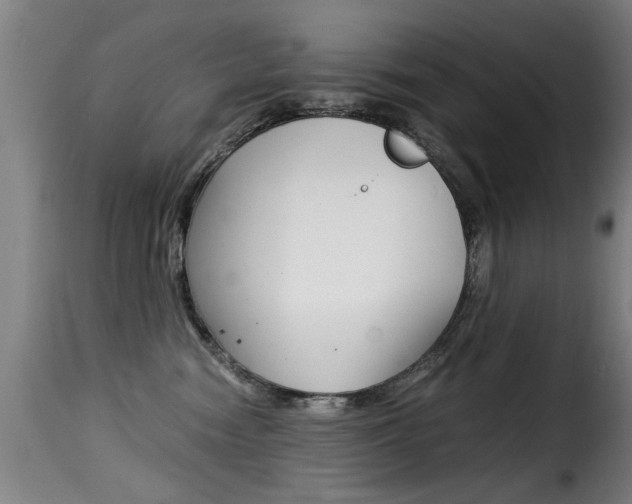 X0000116000474200911191218