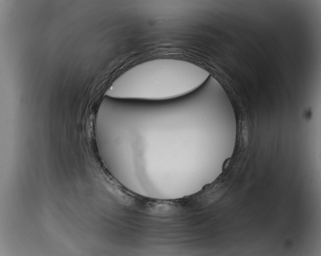 X0000116000475200911191218