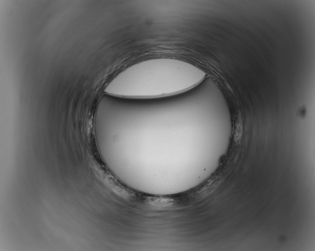 X0000116000476200911191218