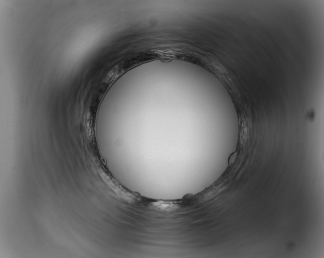 X0000116000477200911191218