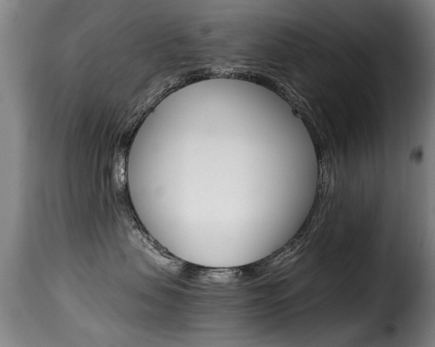 X0000116000479200911191218