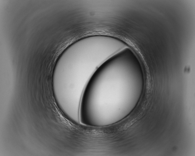 X0000116000481200911191217