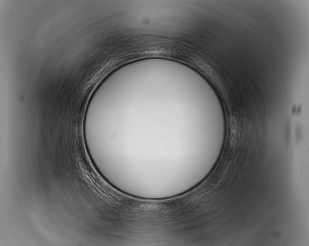 X0000116000482200911191217