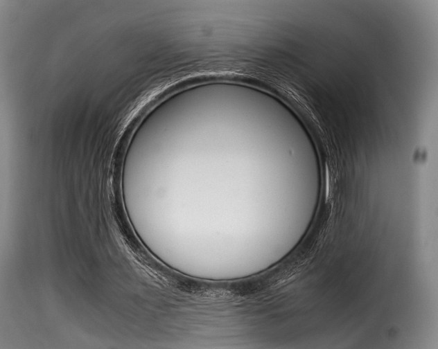 X0000116000483200911191217