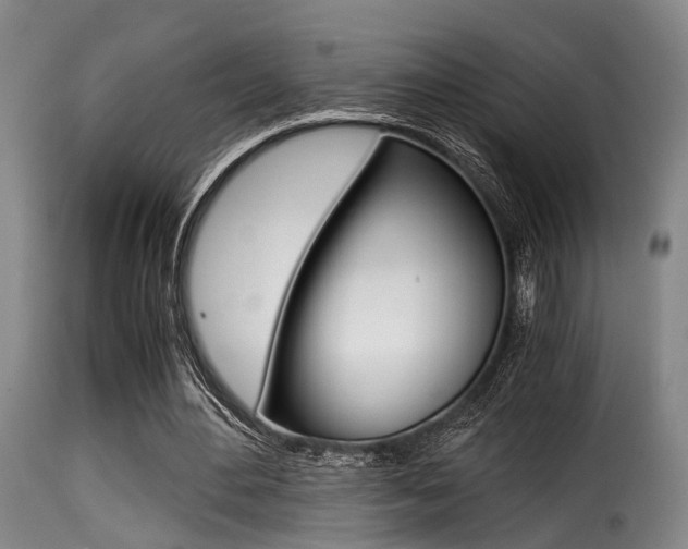 X0000116000484200911191217