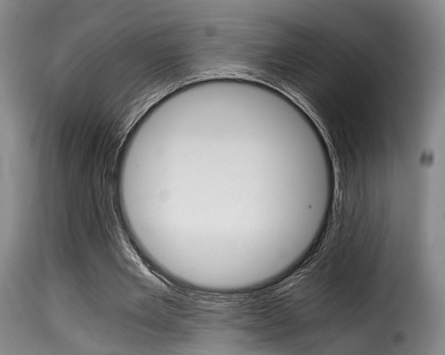 X0000116000485200911191217