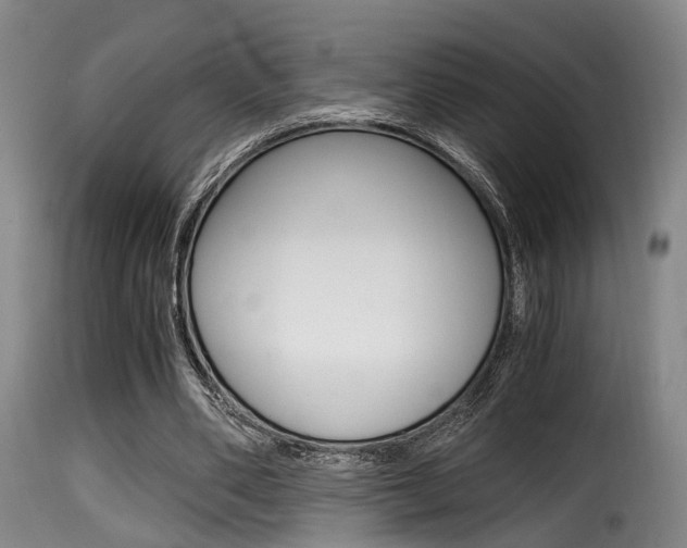 X0000116000486200911191217