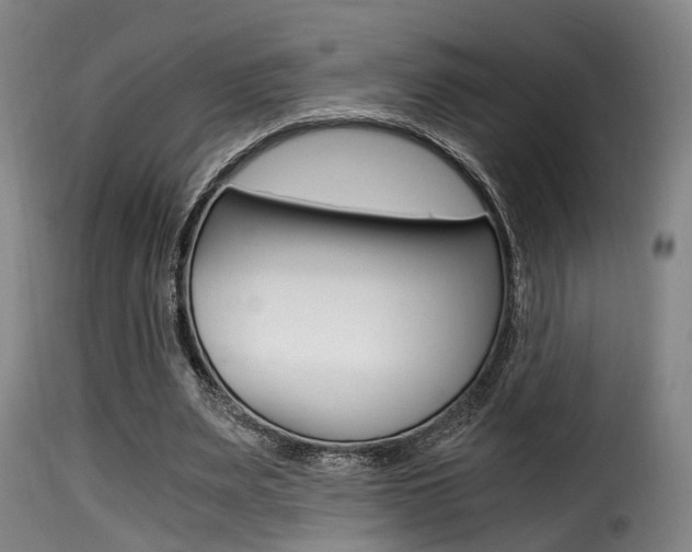 X0000116000487200911191217