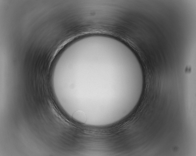 X0000116000488200911191217