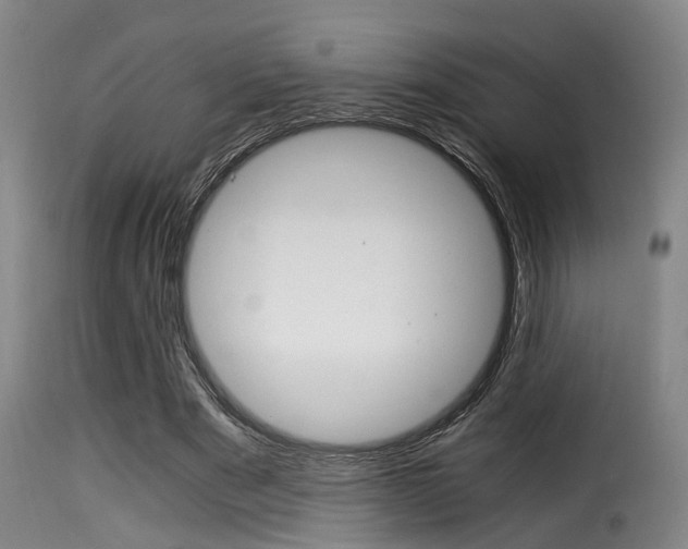 X0000116000489200911191217