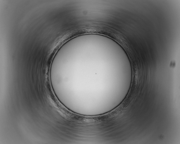 X0000116000490200911191217