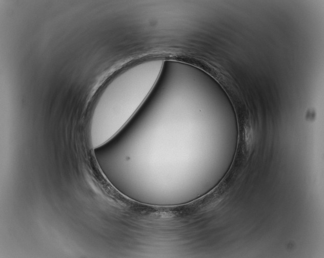 X0000116000492200911191217