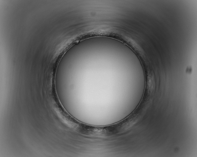 X0000116000493200911191217