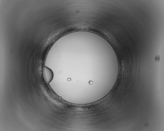 X0000116000494200911191217