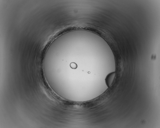 X0000116000496200911191217