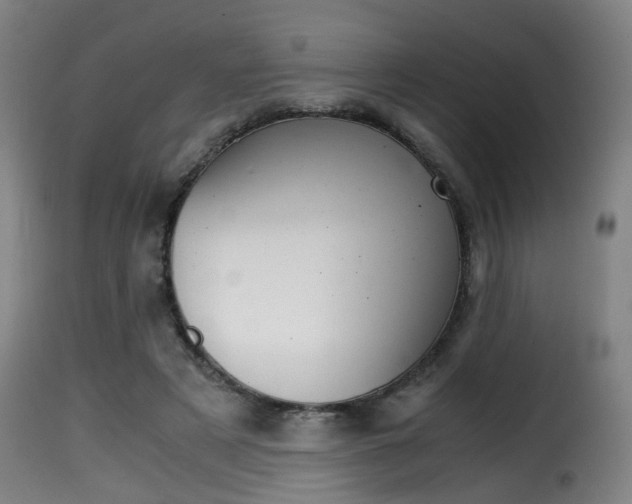 X0000116000497200911191217