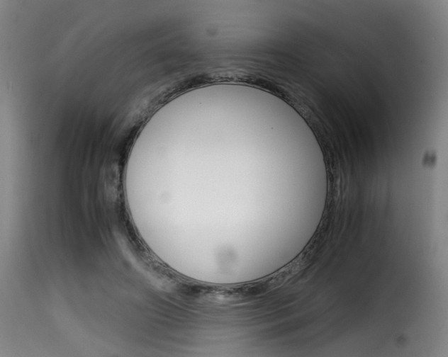 X0000116000498200911191217