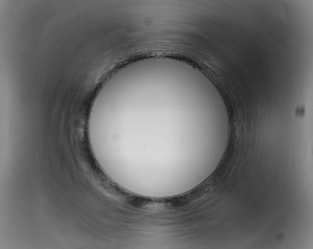 X0000116000499200911191217