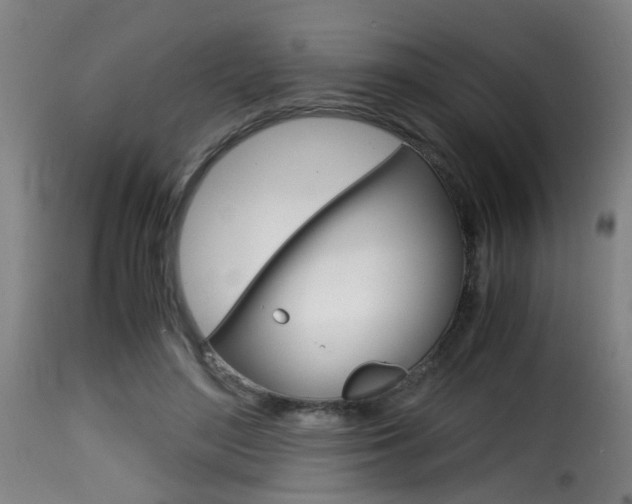 X0000116000500200911191217