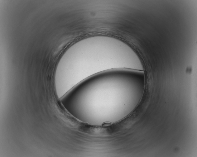 X0000116000501200911191217