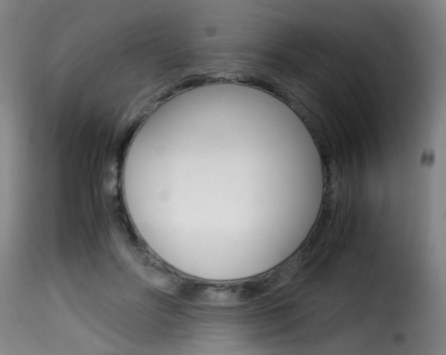 X0000116000502200911191217