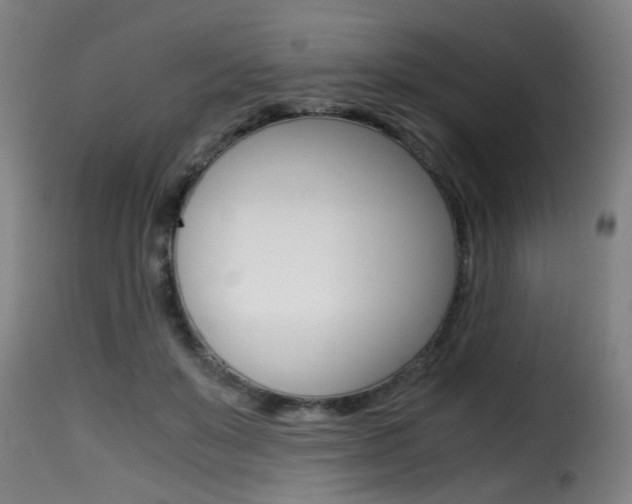 X0000116000503200911191217